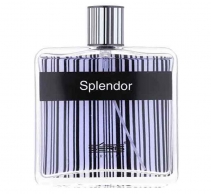 عطر ادکلن مردانه اسپلندور بلک مشکی اورجینال حجم 100میل ( Splendor Black)